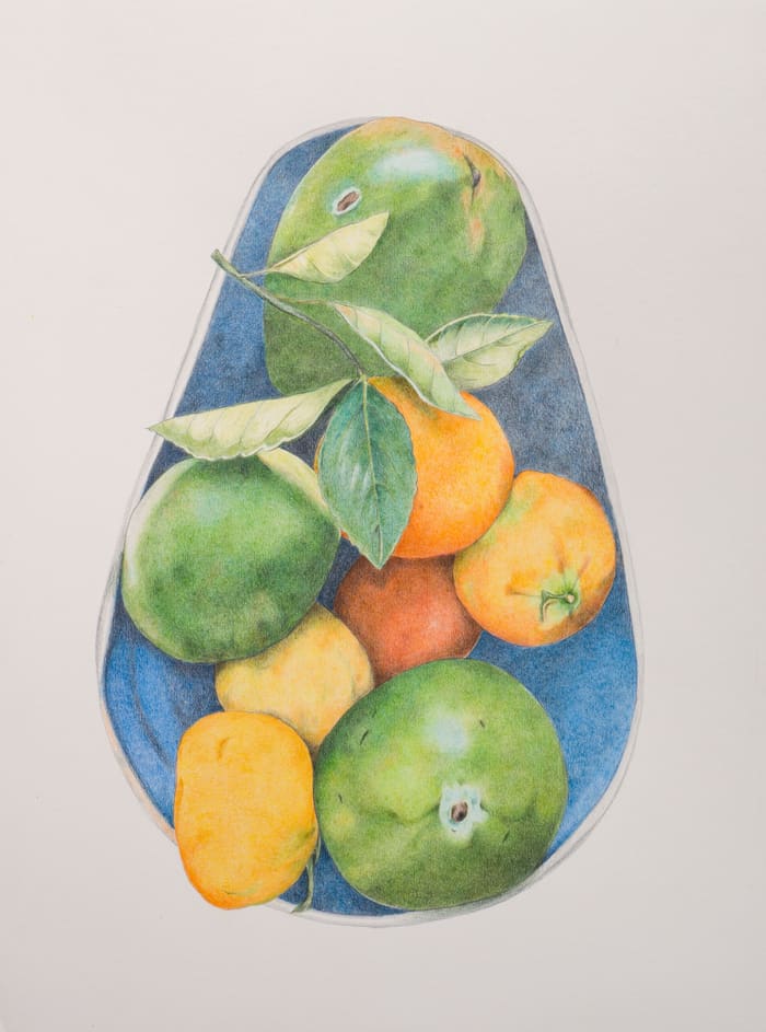 Цитрусы и манго, бумага hahnemühle, цветные карандаши faber-castell polychromos и derwent