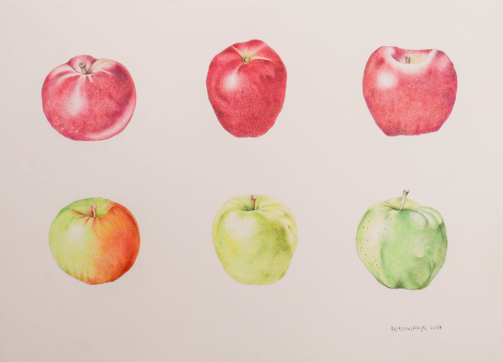 Шесть яблок, цветной карандаш, бумага, 2019